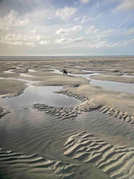Appartement A 100M De La Plage Neufchâtel-Hardelot Zewnętrze zdjęcie